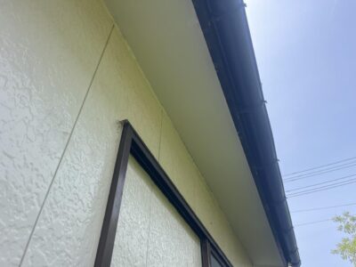 IMG_8525.jpeg