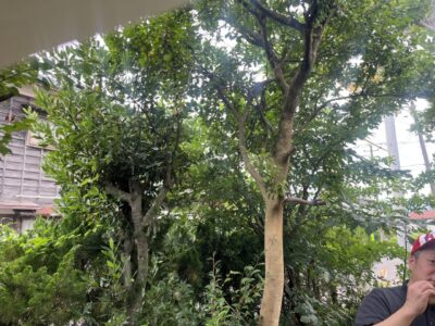 IMG_8722.jpeg