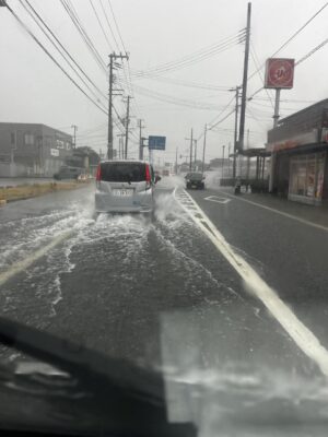 IMG_8795.jpeg
