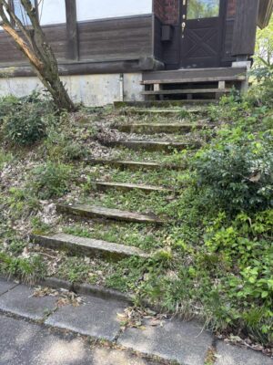 IMG_1261.jpeg